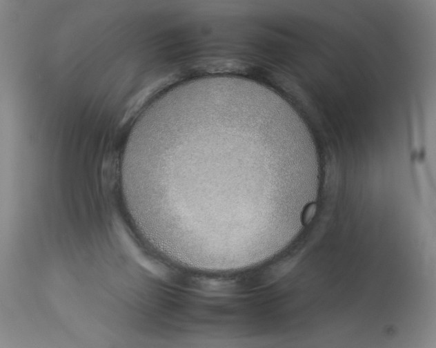 X0000112870165200909181832