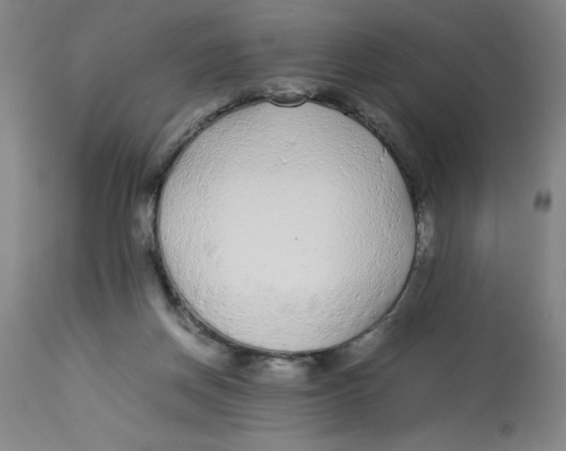 X0000112870166200909181832