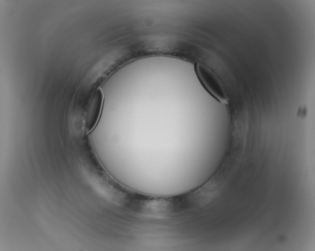 X0000112870168200909181833