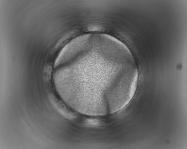 X0000112870171200909181833