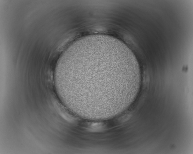 X0000112870173200909181833