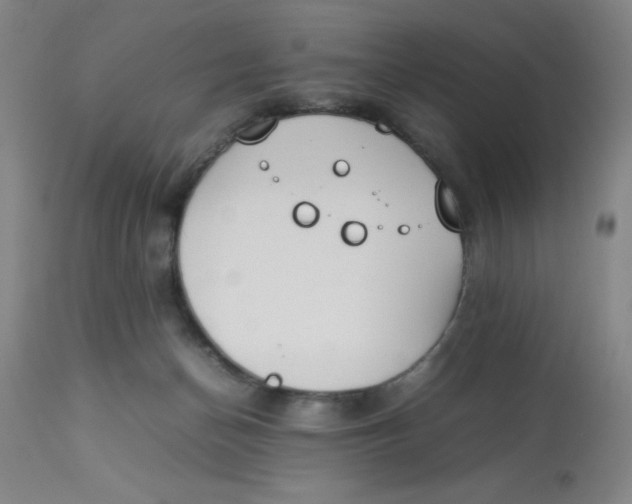 X0000112870174200909181833