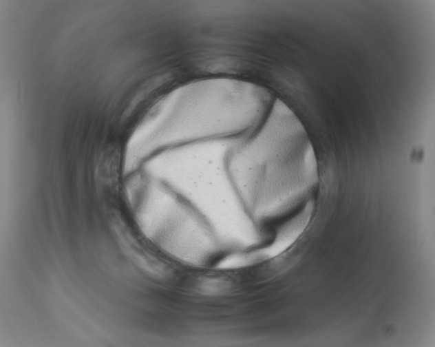 X0000112870175200909181833