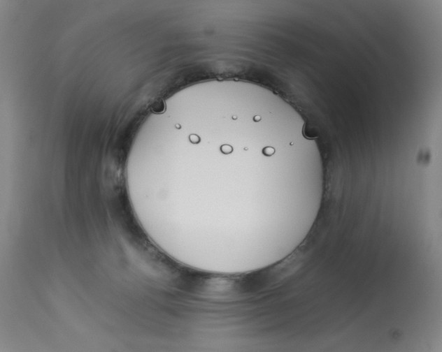 X0000112870176200909181833