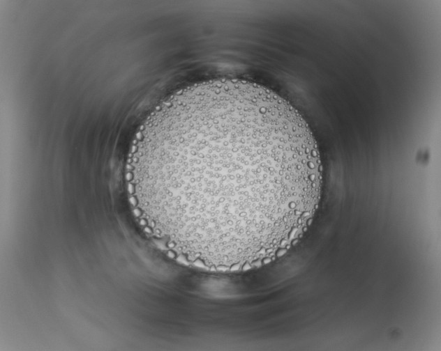 X0000112870177200909181833