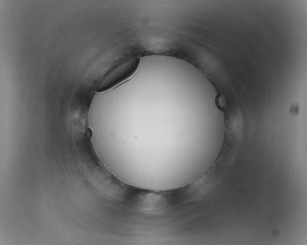 X0000112870180200909181833