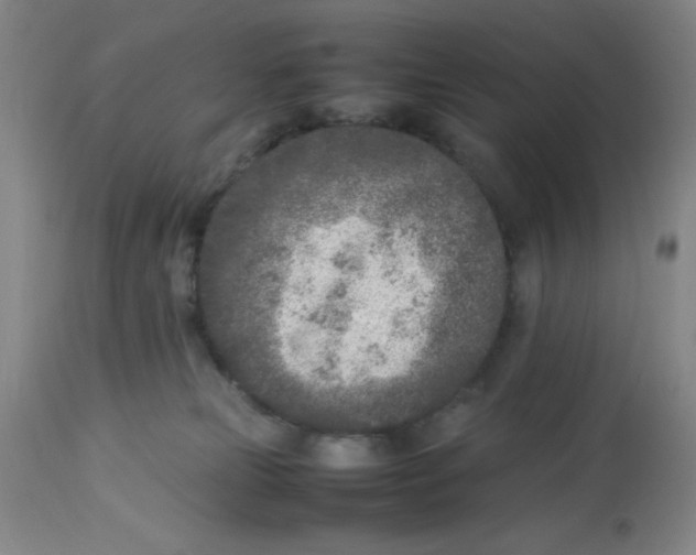 X0000112870181200909181833