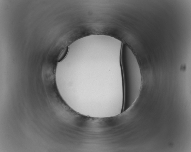 X0000112870186200909181833