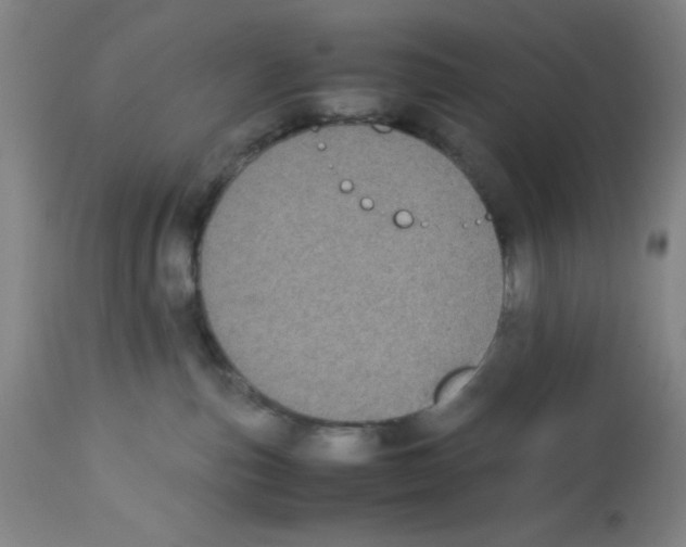 X0000112870187200909181833