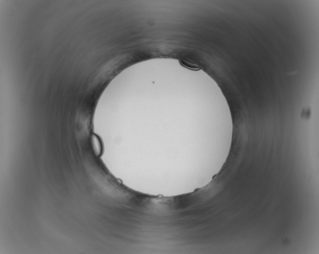 X0000112870188200909181833