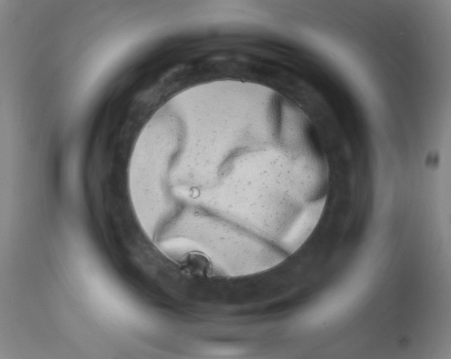 X0000112870189200909181833