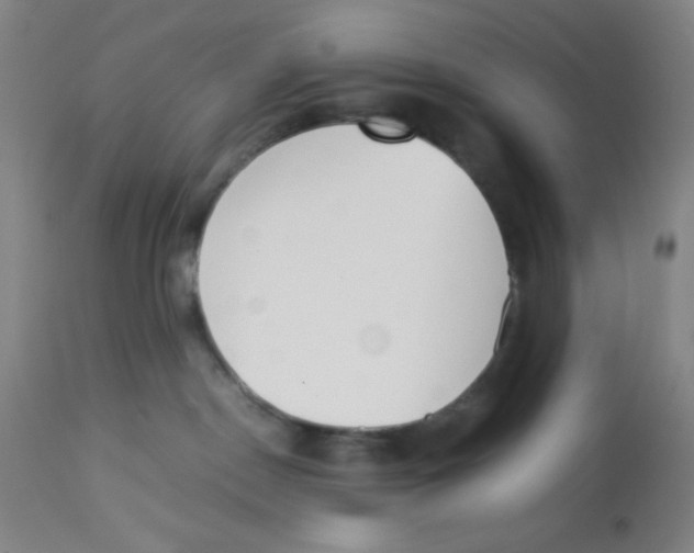 X0000112870190200909181833