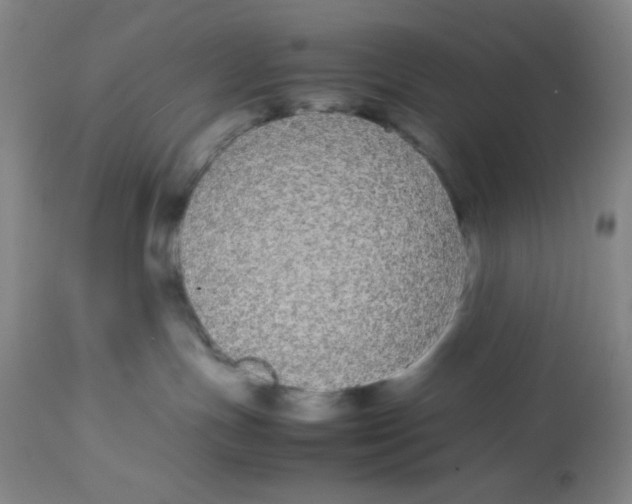 X0000112870191200909181833