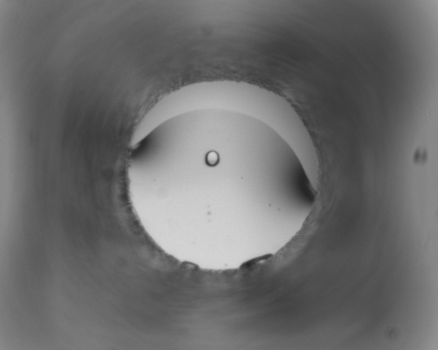 X0000112870192200909181833