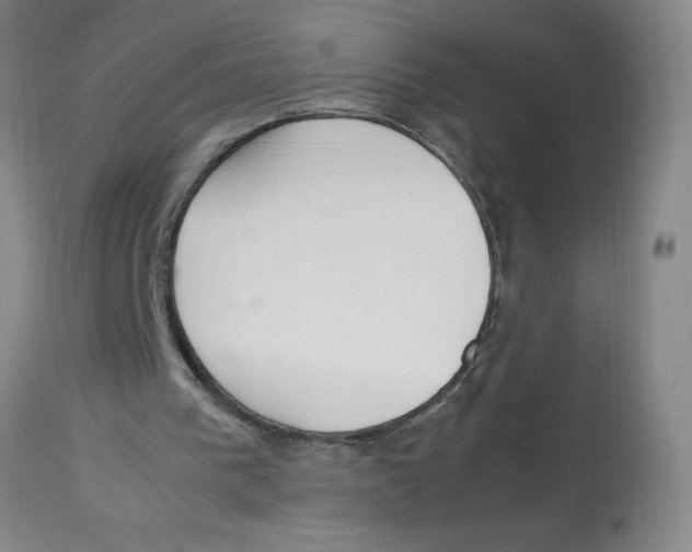 X0000112870193200909181832