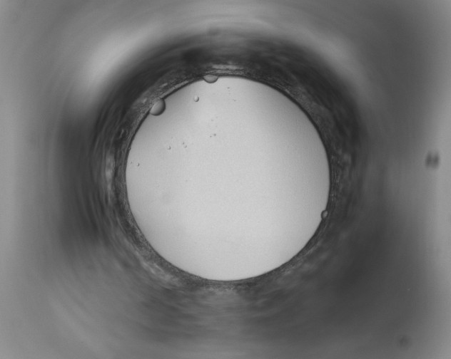 X0000112870194200909181832