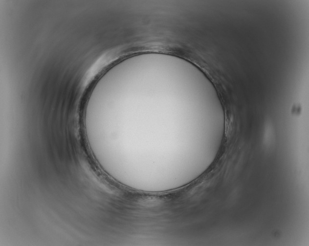 X0000112870198200909181832