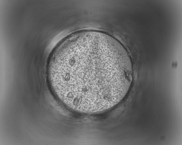 X0000112870199200909181832