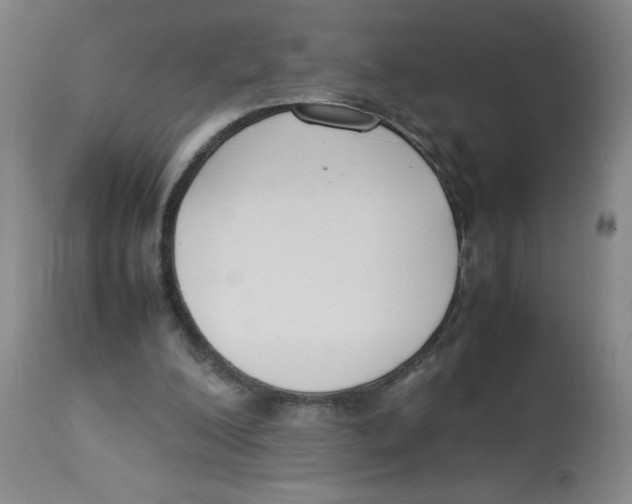 X0000112870200200909181832