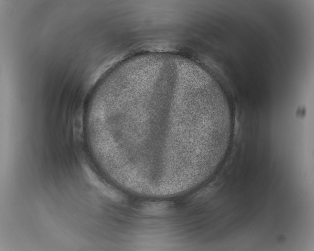 X0000112870202200909181832