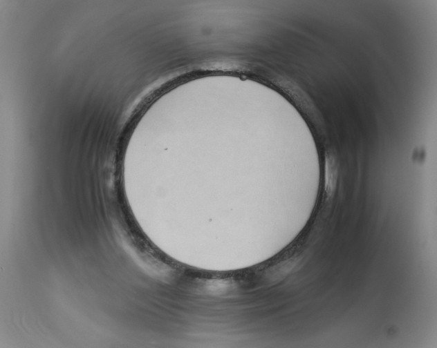 X0000112870204200909181832