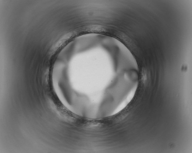 X0000112870206200909181832