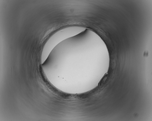 X0000112870207200909181832