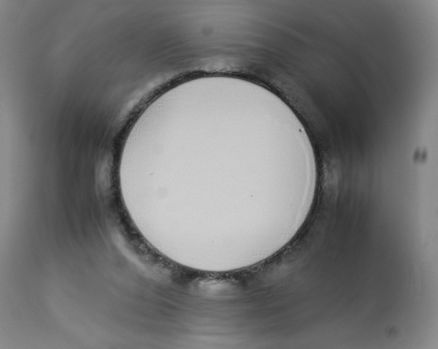 X0000112870208200909181832