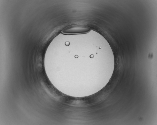 X0000112870212200909181832