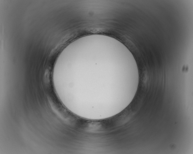 X0000112870214200909181832