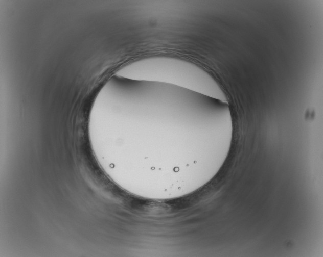 X0000112870215200909181832