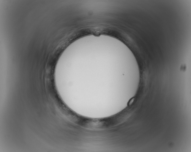 X0000112870217200909181832