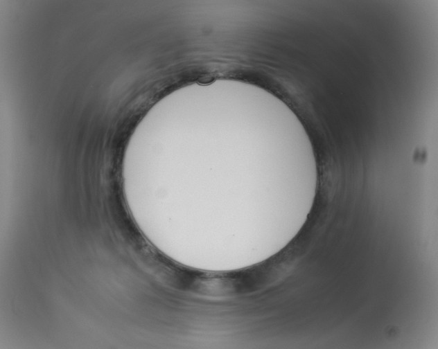 X0000112870221200909181832