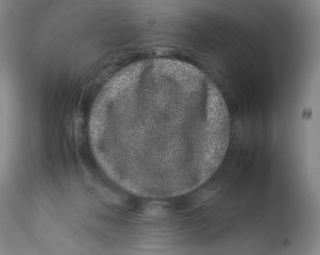 X0000112870222200909181832