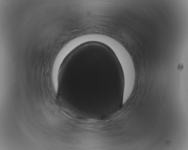 X0000112870223200909181832