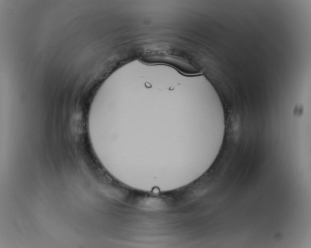 X0000112870224200909181832