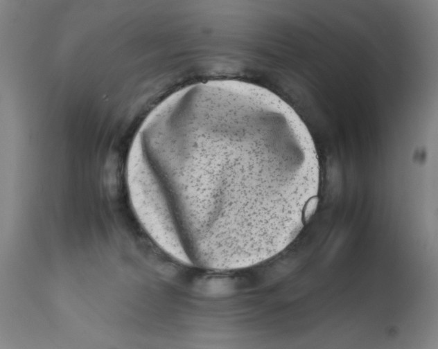 X0000112870228200909181832