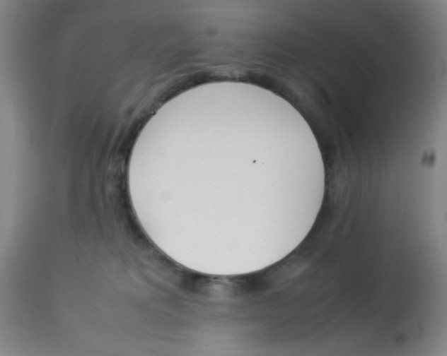 X0000112870229200909181832