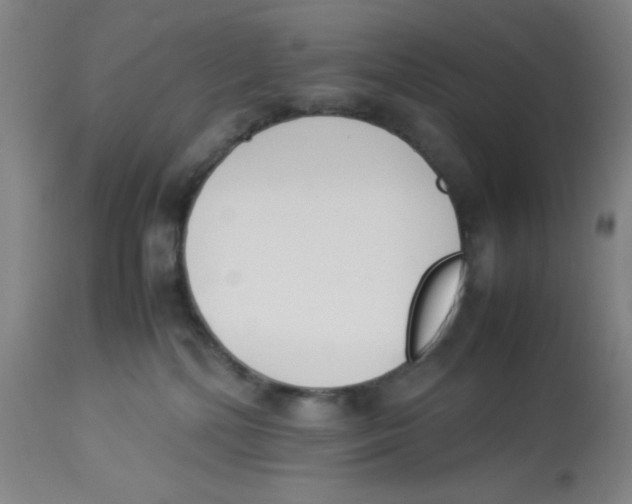 X0000112870232200909181832