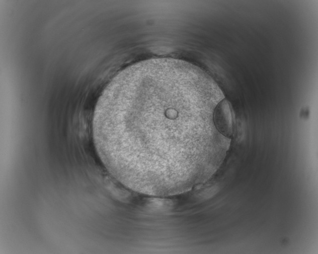 X0000112870234200909181832