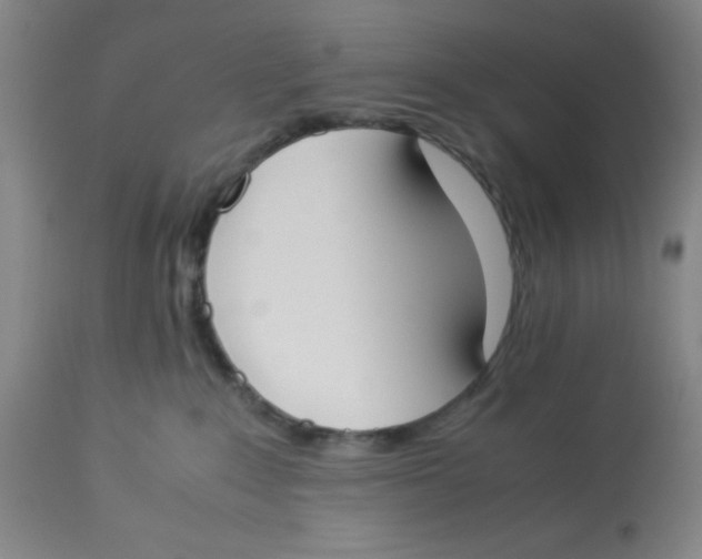 X0000112870235200909181832