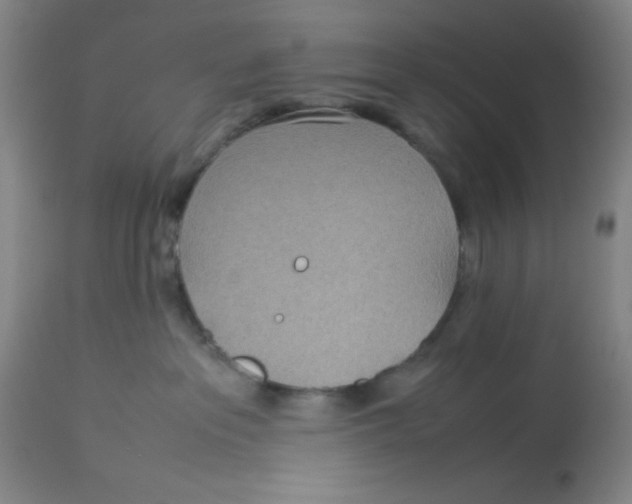 X0000112870237200909181832