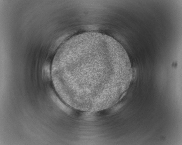 X0000112870238200909181832