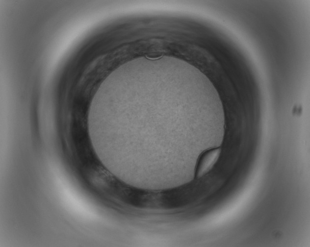 X0000112870239200909181832