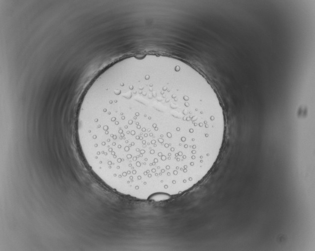 X0000112870241200909181831