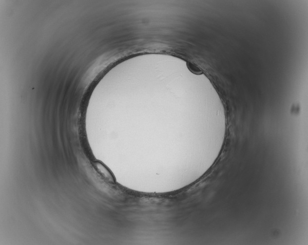 X0000112870242200909181831