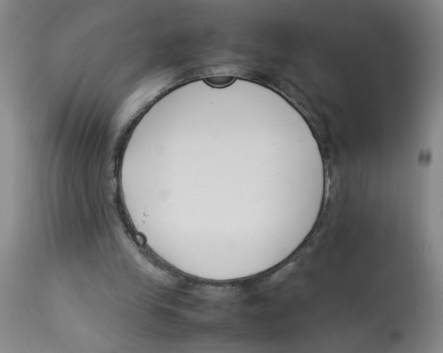 X0000112870245200909181831