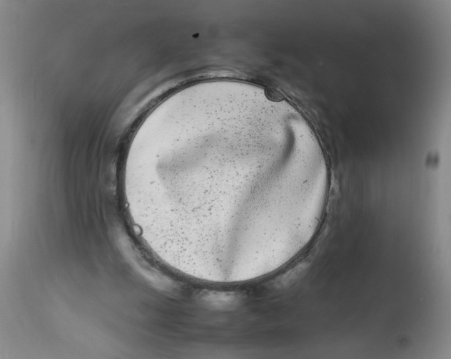 X0000112870247200909181831