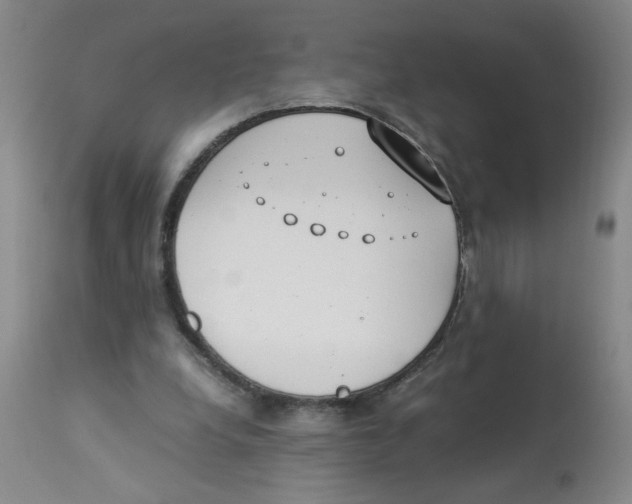 X0000112870248200909181831