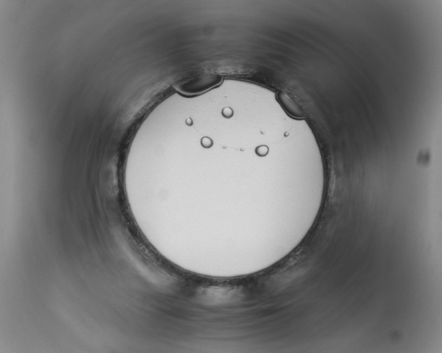 X0000112870251200909181831